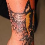 Tattoos - Golden Whistler - 122960